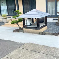 ブログ画像