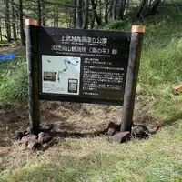 画像3920：自然石の風合いが美しいエントランスアプローチ